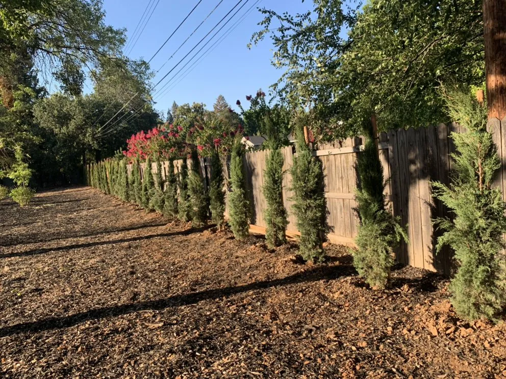 Expert garden landscaping experts serving Sacramento, CA - Natural Green Gardening