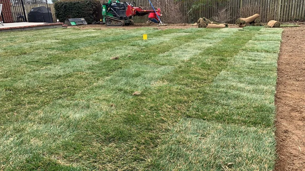 Expert lawn mowing service for outdoor upgrades in Alexandria, VA by Natural Green Landscape