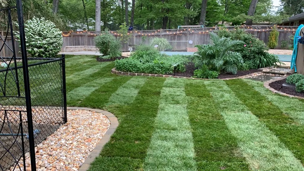 Professional landscaping services in Alexandria, VA - Natural Green Landscape