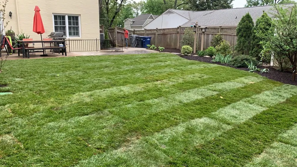 Trusted residential landscaping experts serving Alexandria, VA - Natural Green Landscape