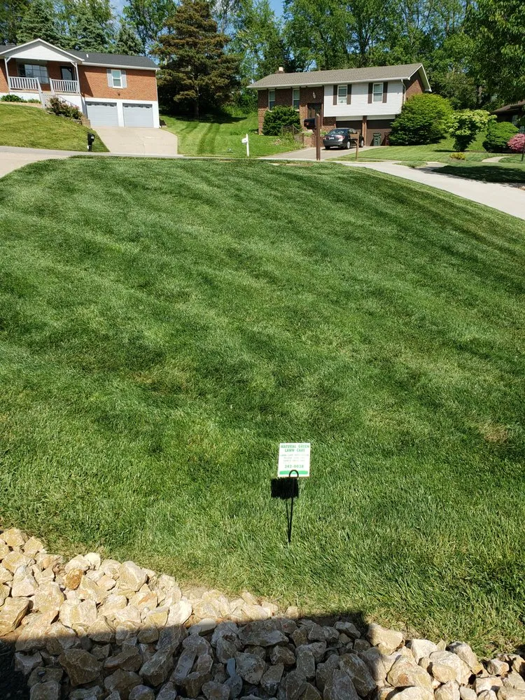 Professional yard cleanup service experts serving Villa Hills, KY - Natural Green Lawn Care