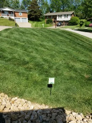Natural Green Lawn Care