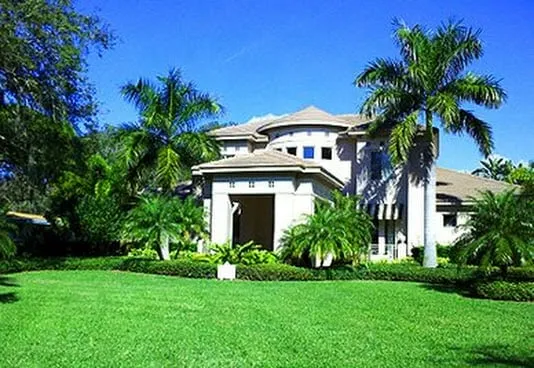Top-rated outdoor landscaping near you across Pinellas Park, FL - Natural Green Lawn Spraying