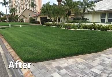Top-rated landscaping services in Pinellas Park, FL by Natural Green Lawn Spraying