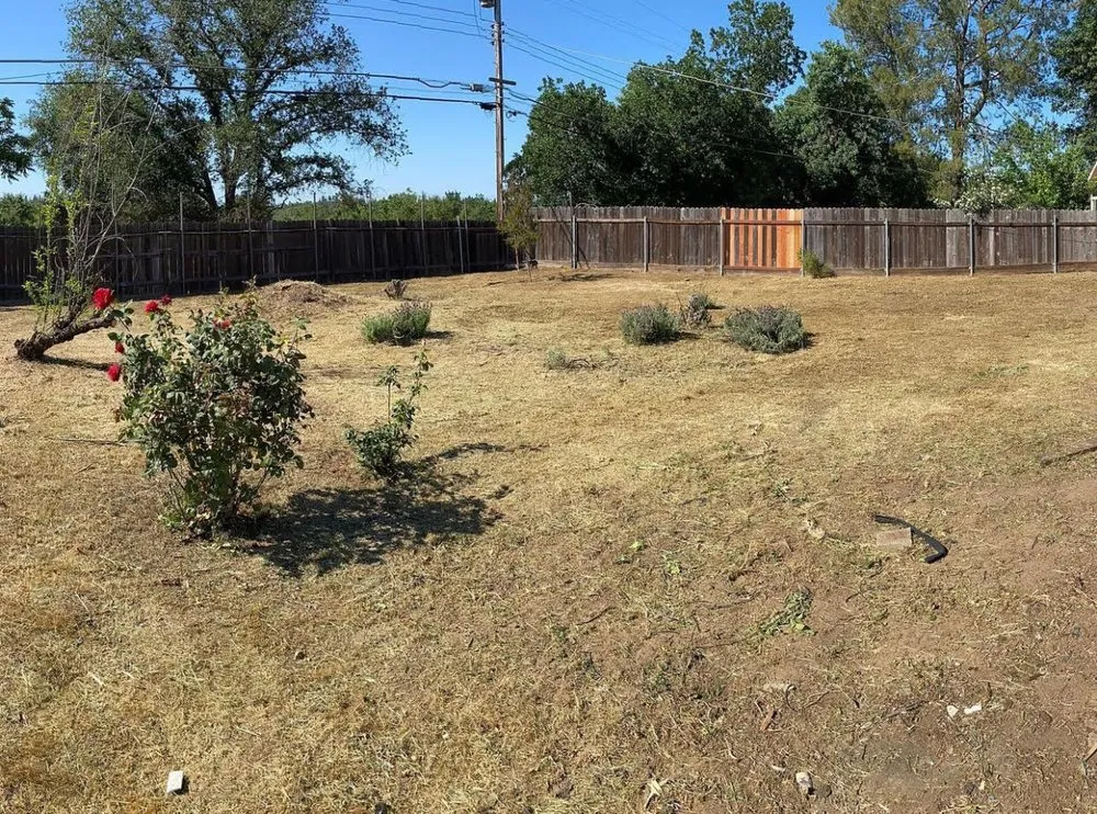 Expert yard cleanup service near you across Sacramento, CA - Natural Green Leaf