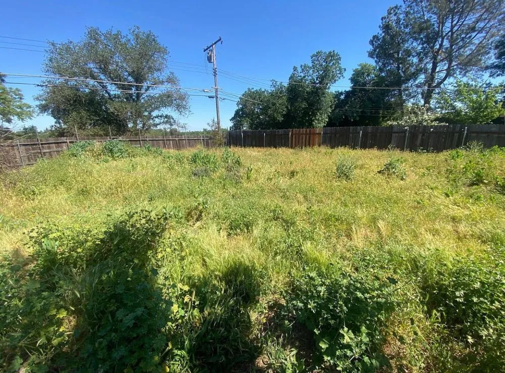 Expert landscaping services experts serving Sacramento, CA - Natural Green Leaf