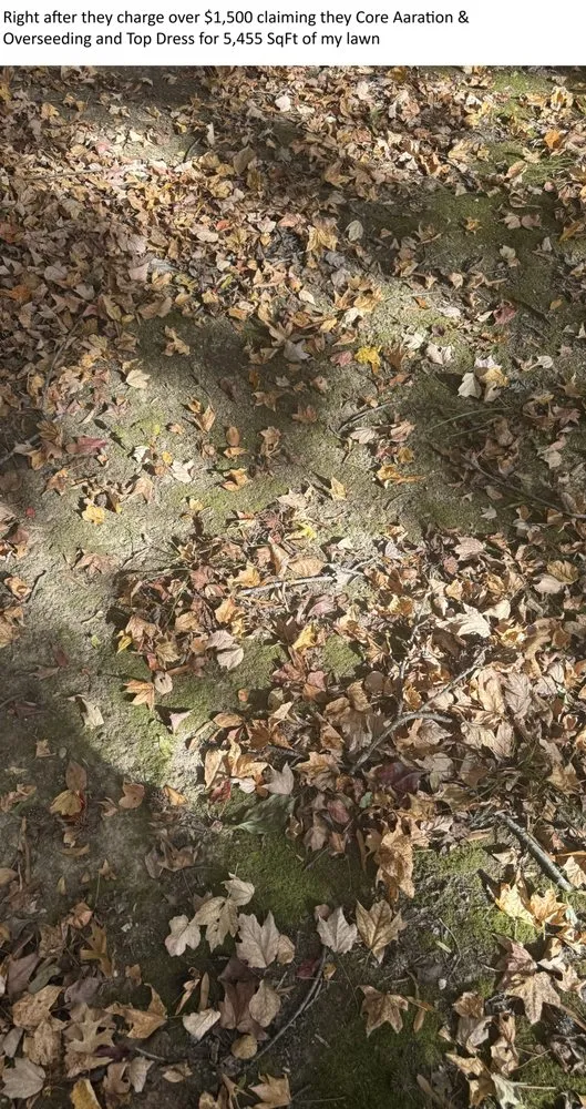 Reliable landscape installation experts serving Bowie, MD - Natural Green Systems Lawn & Pest