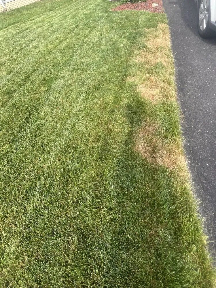 Reliable garden landscaping in Bowie, MD by Natural Green Systems Lawn & Pest