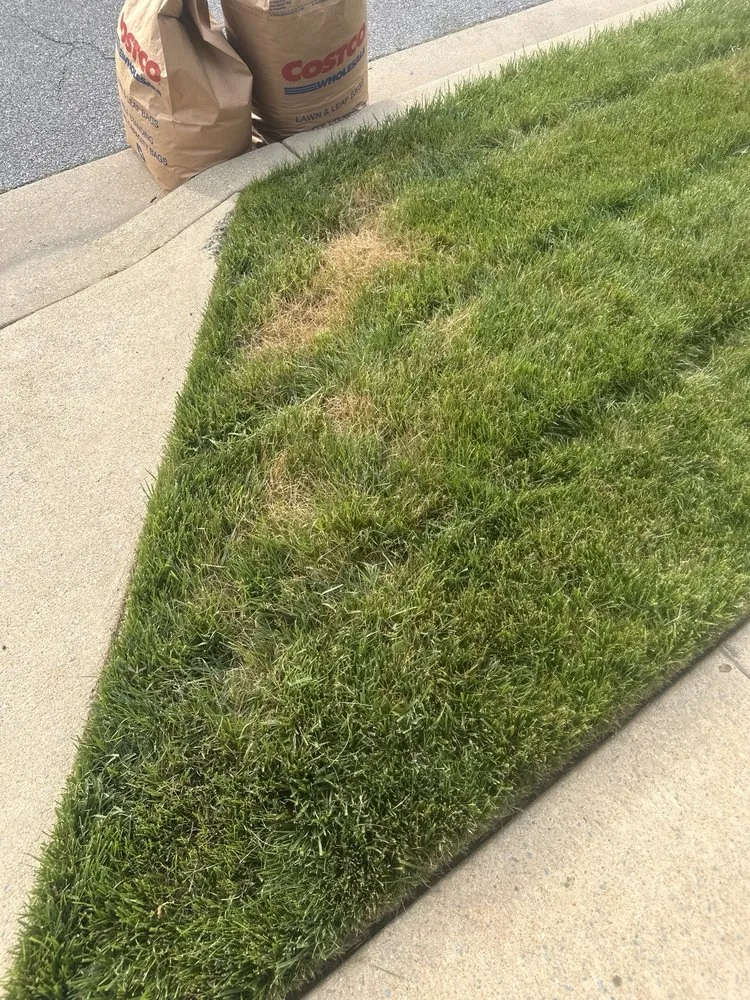 Trusted yard cleanup service with custom design in Bowie, MD by Natural Green Systems Lawn & Pest