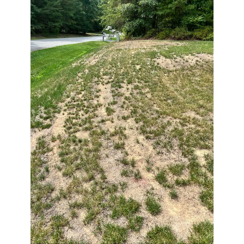 Affordable landscape installation in Bowie, MD by Natural Green Systems Lawn & Pest