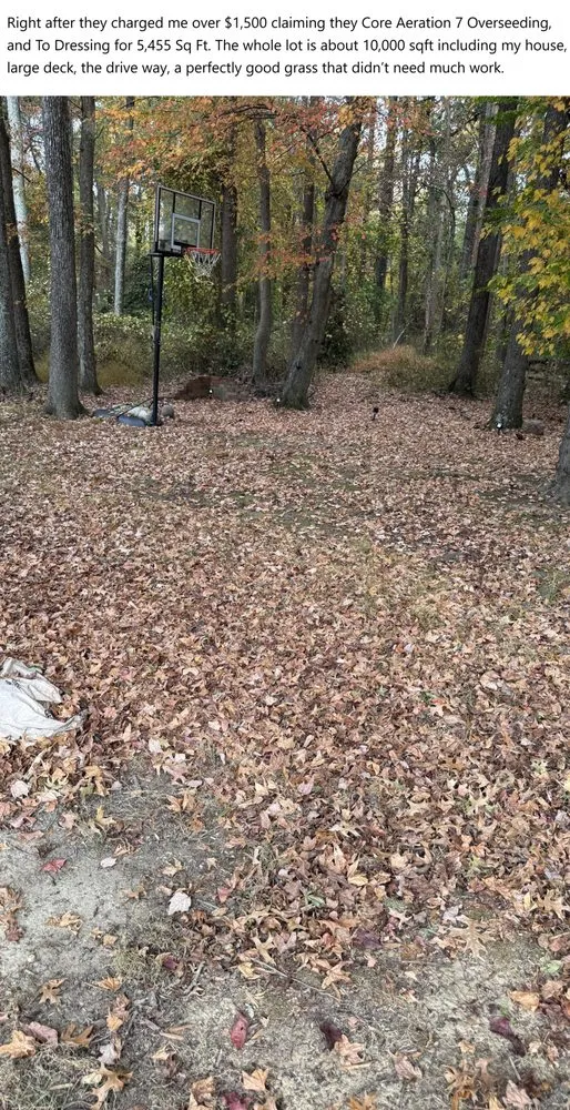 Custom lawn mowing service with custom design in Bowie, MD by Natural Green Systems Lawn & Pest