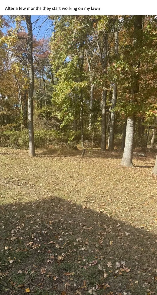 Professional landscaping services in Bowie, MD by Natural Green Systems Lawn & Pest