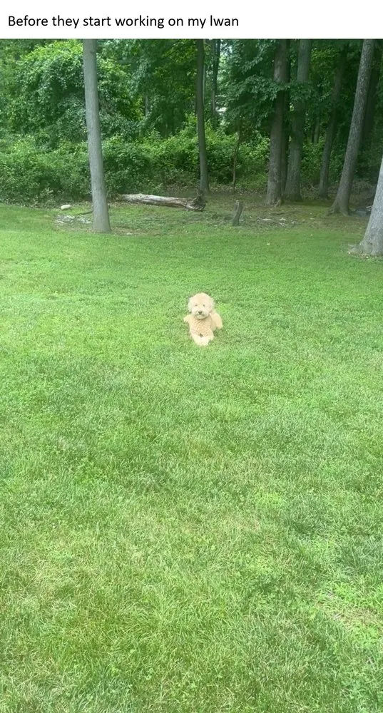 Expert yard maintenance for residential properties across Bowie, MD - Natural Green Systems Lawn & Pest