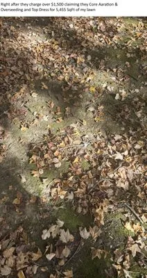 Natural Green Systems Lawn & Pest Logo