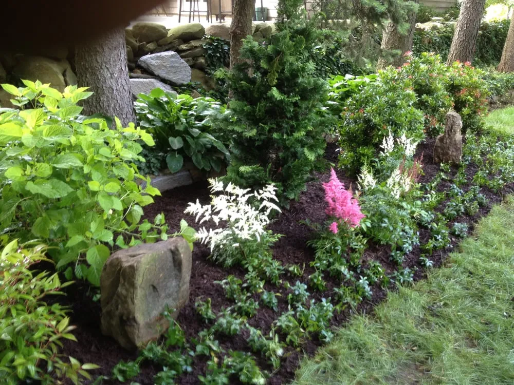 Expert yard maintenance experts serving Yorktown Heights, NY - Natural Greenscapes