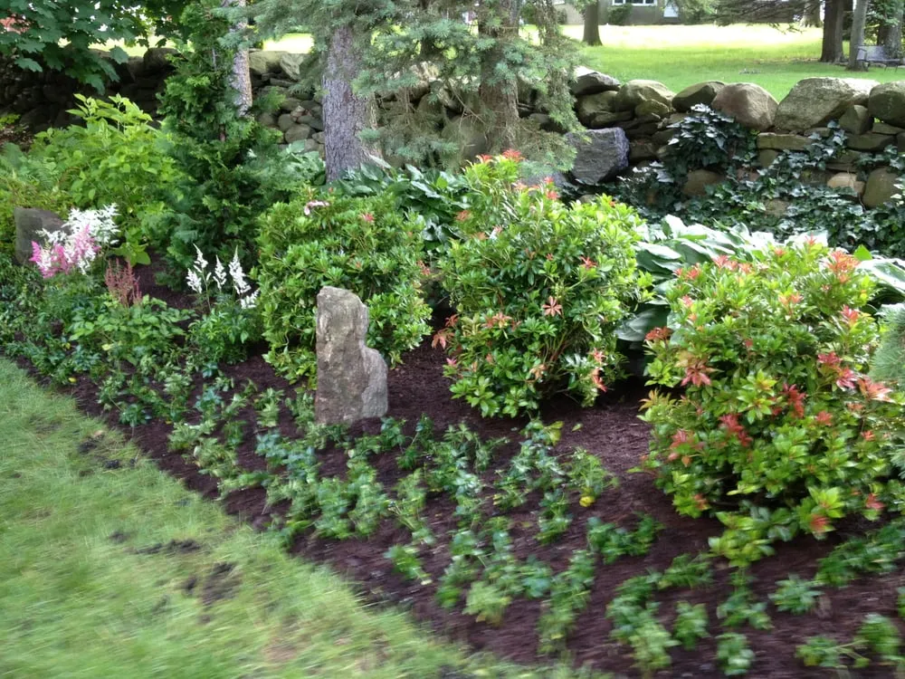 Reliable yard cleanup service in Yorktown Heights, NY - Natural Greenscapes
