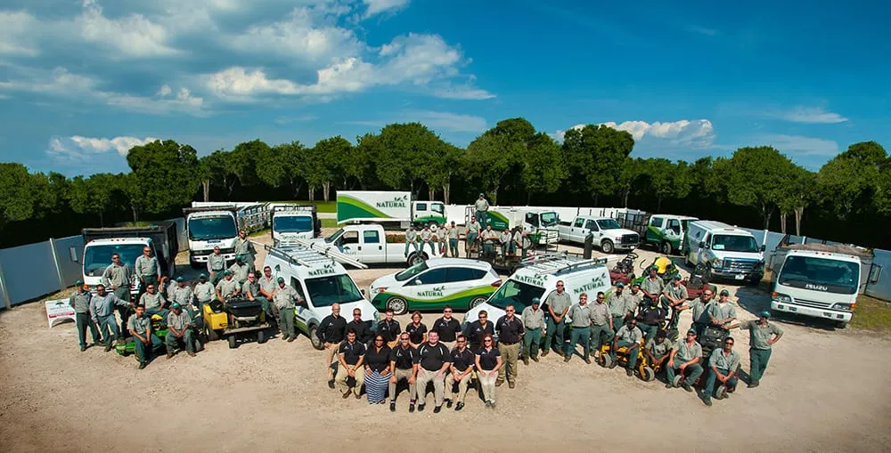 Expert yard maintenance in Lake Oswego, OR by Natural Landscape and Irrigation