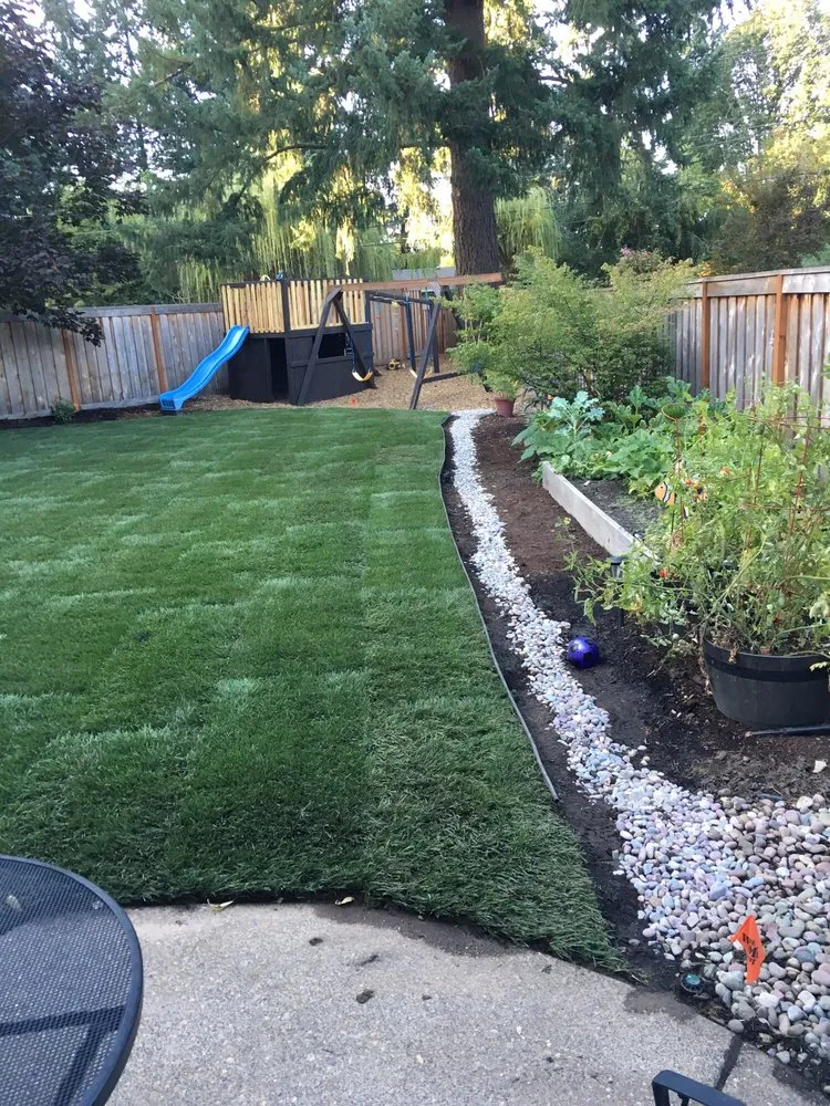 Professional yard cleanup service in Lake Oswego, OR by Natural Landscape and Irrigation