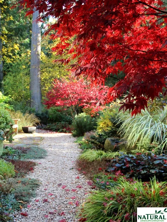 Trusted garden landscaping in Lake Oswego, OR - Natural Landscape and Irrigation