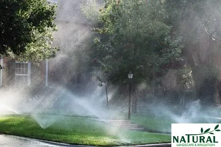 Affordable garden landscaping experts serving Lake Oswego, OR - Natural Landscape and Irrigation