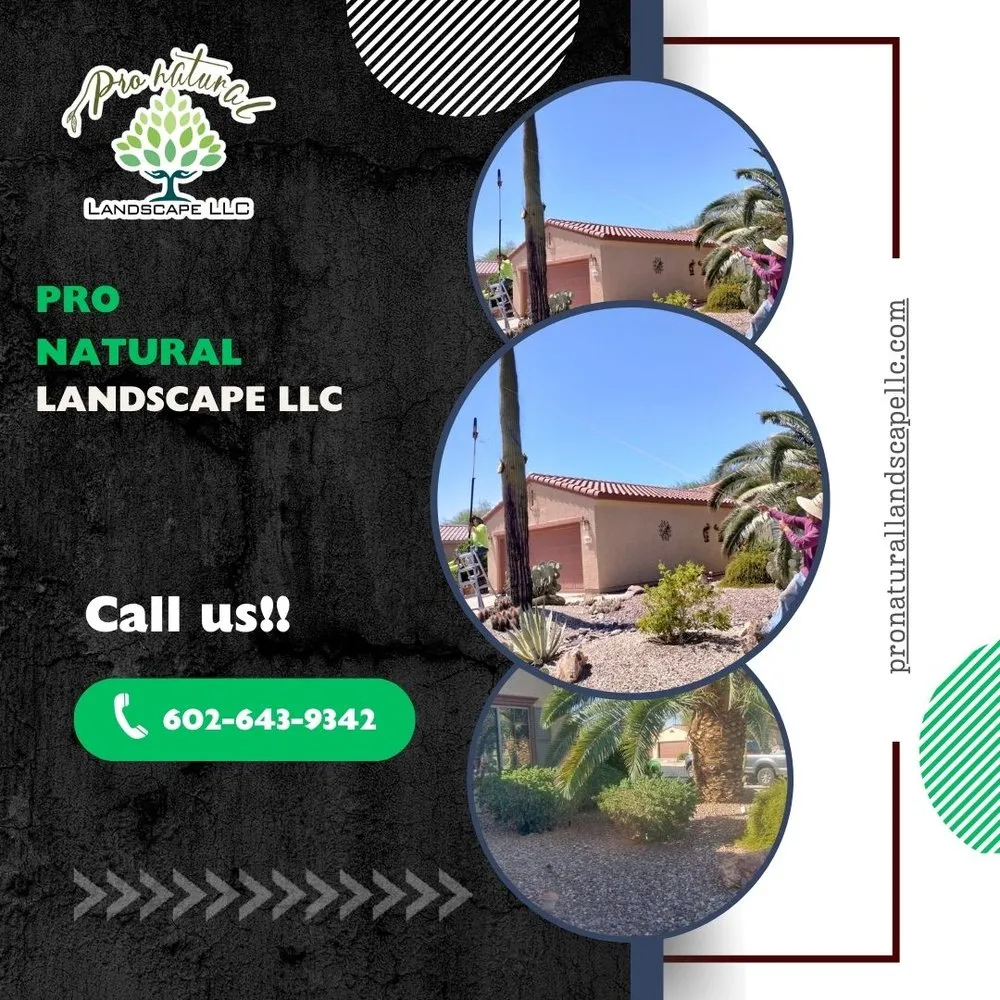 Top-rated landscape installation in Bonita Springs, FL - Natural Landscape