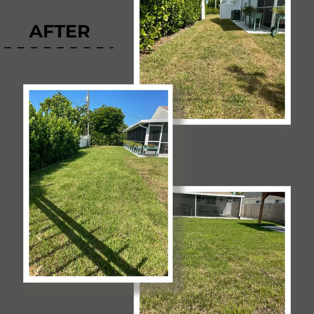 Expert garden landscaping for homes across Bonita Springs, FL - Natural Landscape