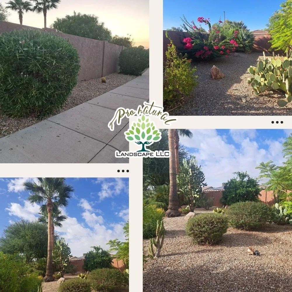 Trusted garden landscaping in Bonita Springs, FL by Natural Landscape