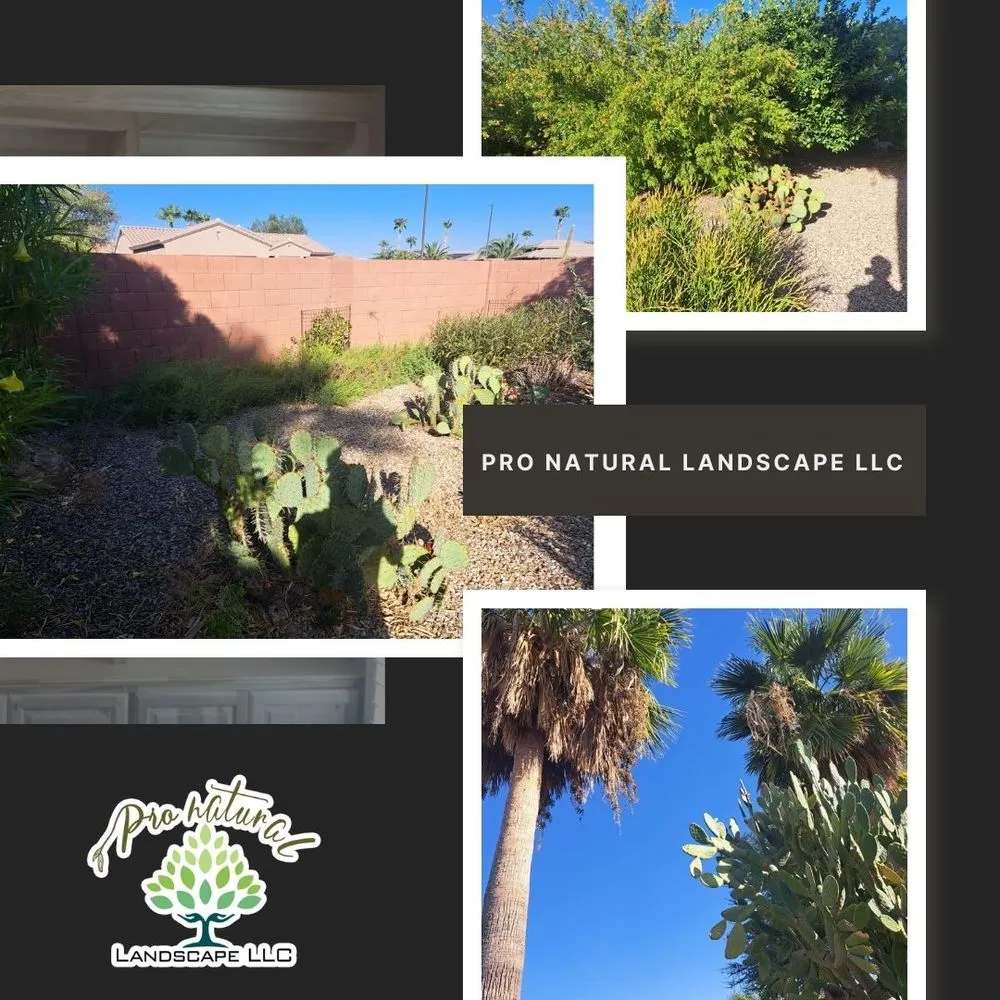 Reliable landscape installation for beautiful yards across Bonita Springs, FL - Natural Landscape