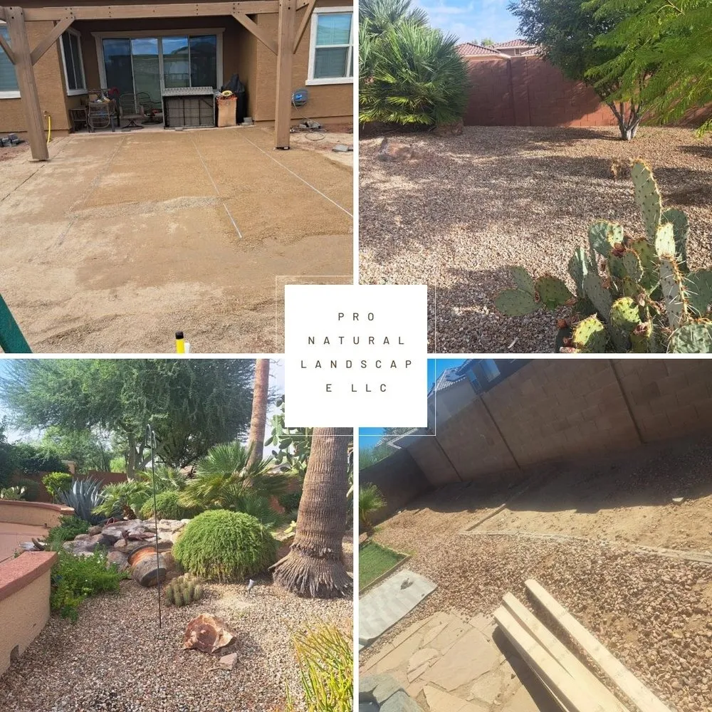 Top-rated yard cleanup service experts serving Bonita Springs, FL - Natural Landscape