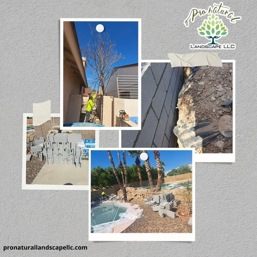 Top-rated yard maintenance for residential properties across Bonita Springs, FL - Natural Landscape