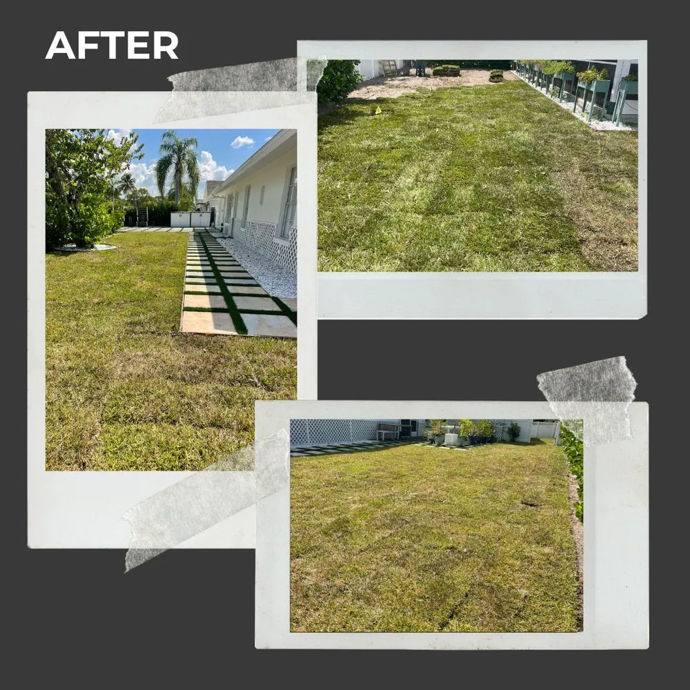 Expert landscape design near you across Bonita Springs, FL - Natural Landscape