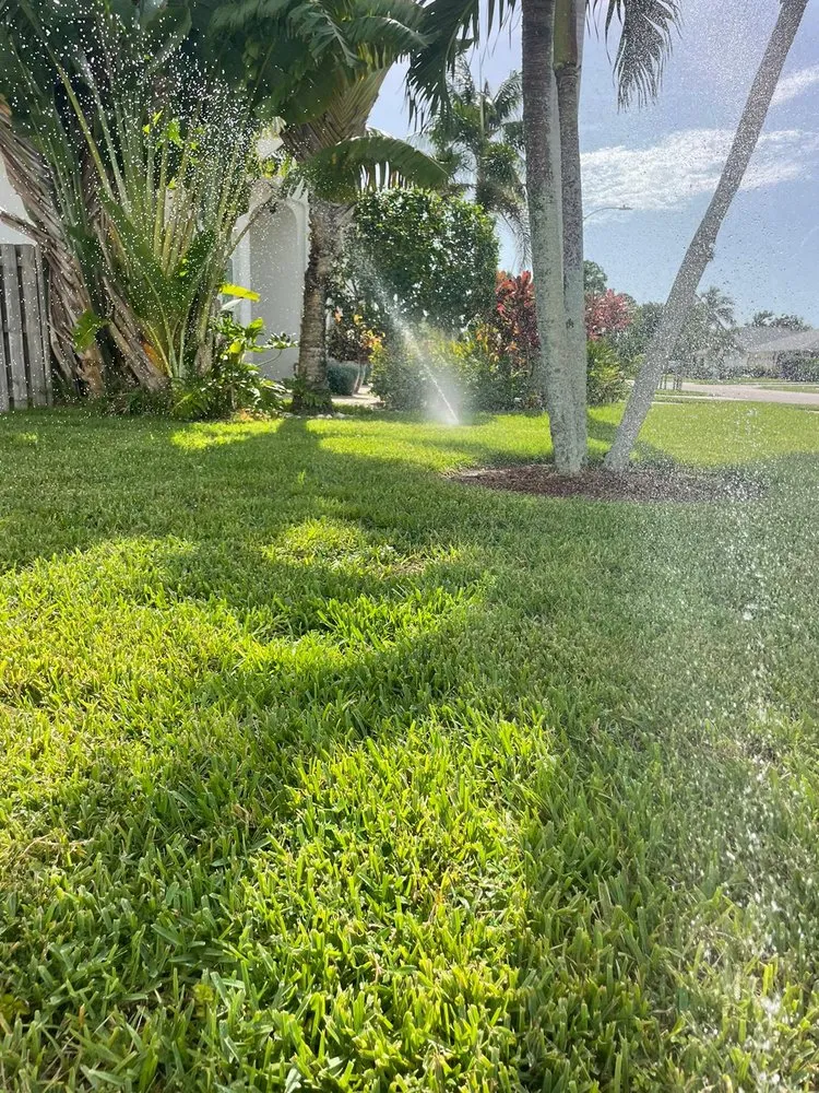 Professional garden landscaping in Bonita Springs, FL - Natural Landscape