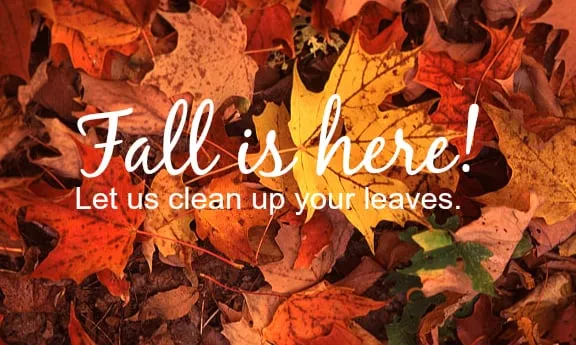 Affordable outdoor landscaping in Dedham, MA by Natural Landscape