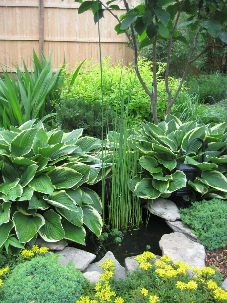 Custom outdoor landscaping for beautiful yards across Dedham, MA - Natural Landscape