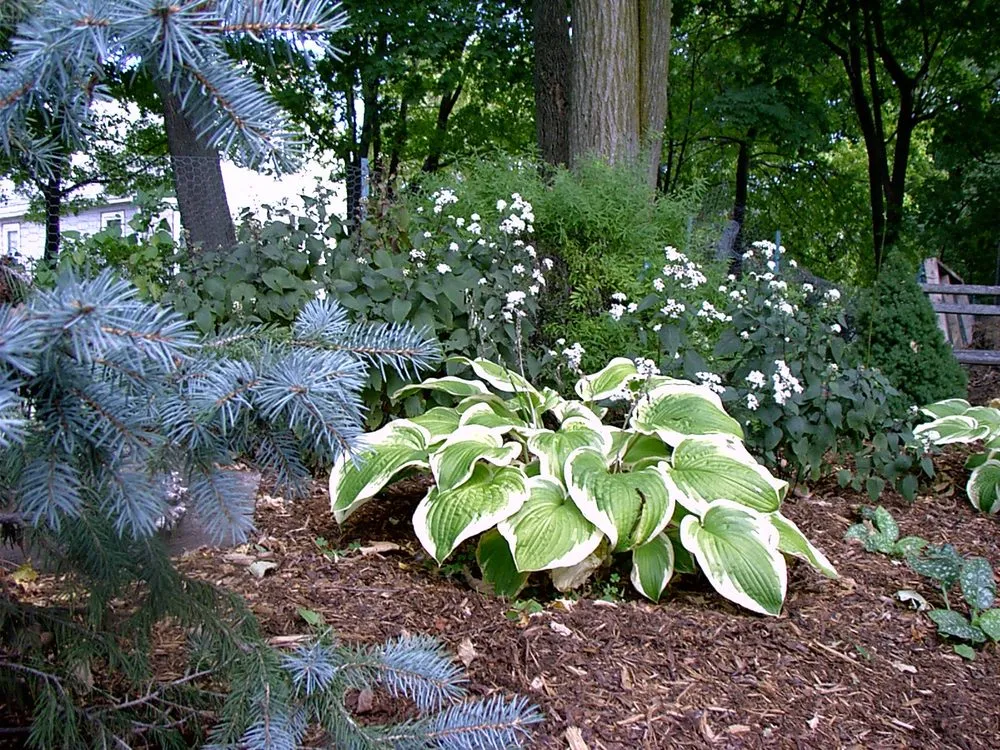 Professional landscaping services experts serving Dedham, MA - Natural Landscape