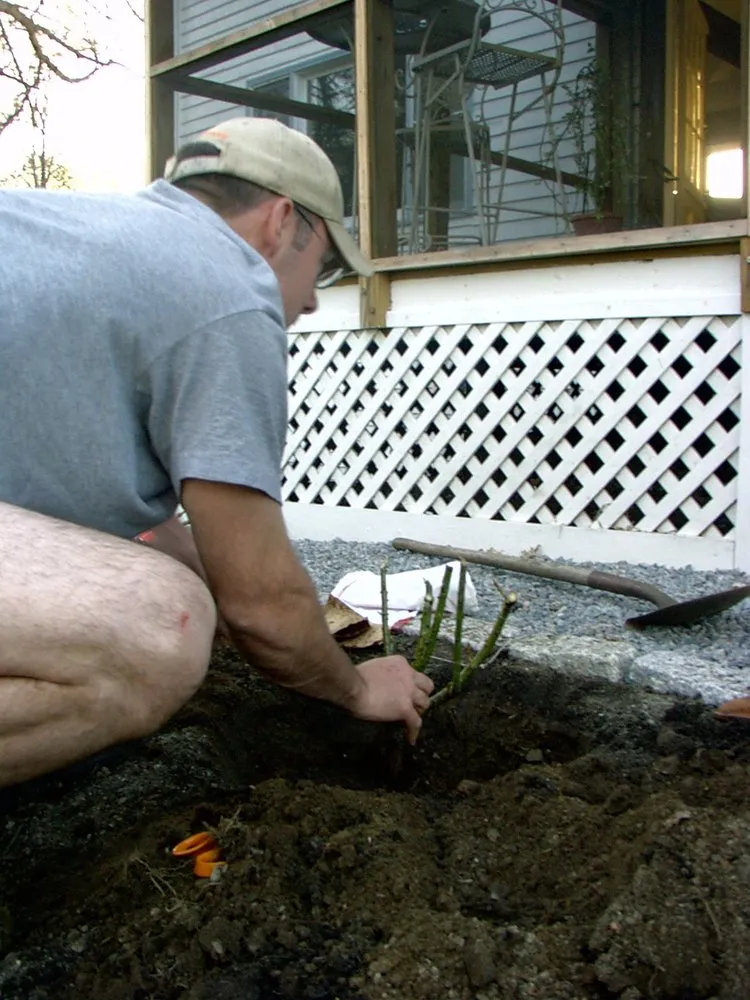 Reliable residential landscaping for residential properties in Dedham, MA by Natural Landscape