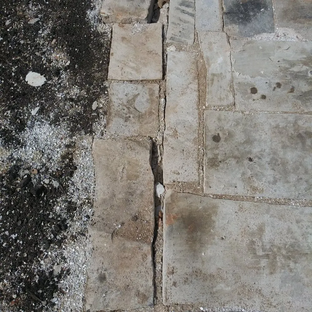 Professional outdoor landscaping in Bentonville, AR by Natural Landscapes & Designs