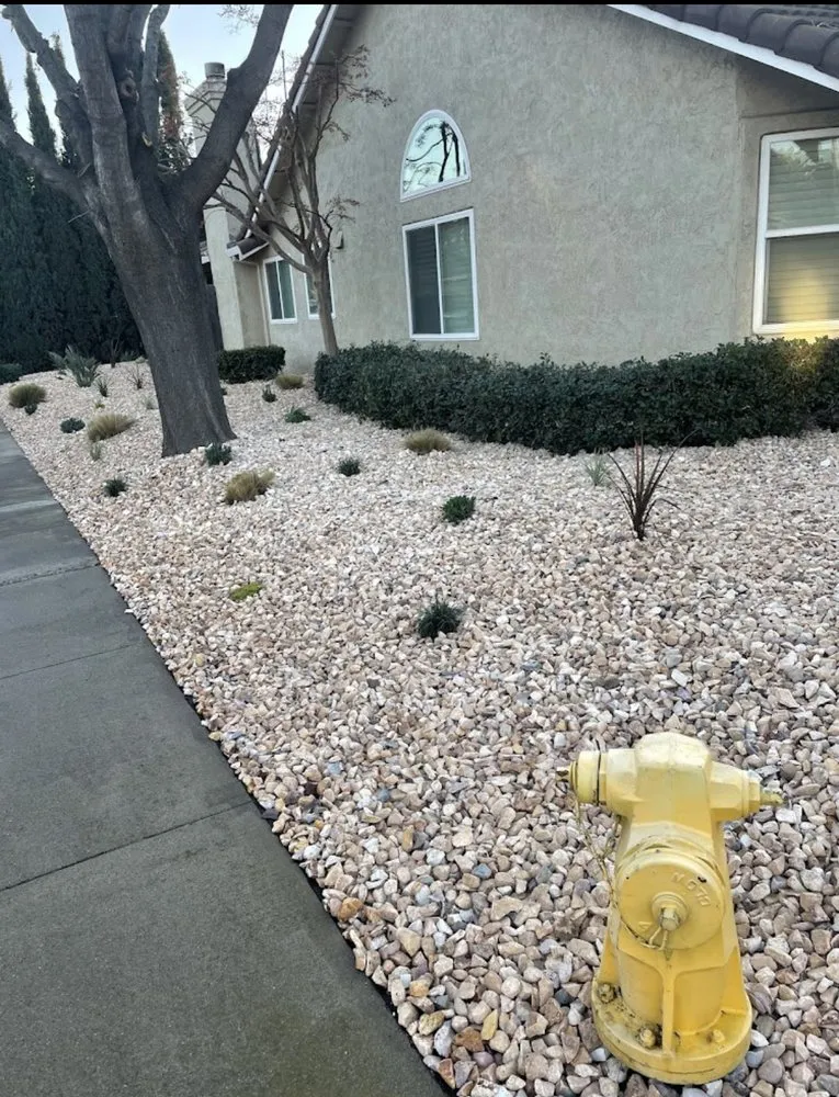 Trusted residential landscaping in Ceres, CA by Natural Landscaping