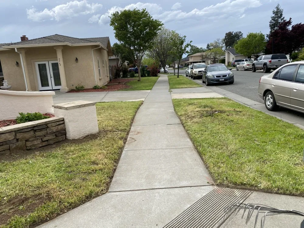 Professional landscape design experts serving Chico, CA - Natural Landscaping