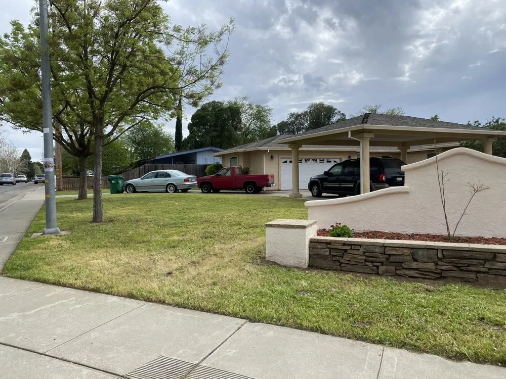 Top-rated yard cleanup service for year-round maintenance across Chico, CA - Natural Landscaping