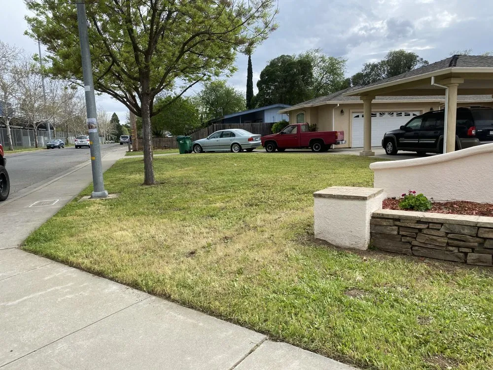 Top-rated landscaping services in Chico, CA - Natural Landscaping