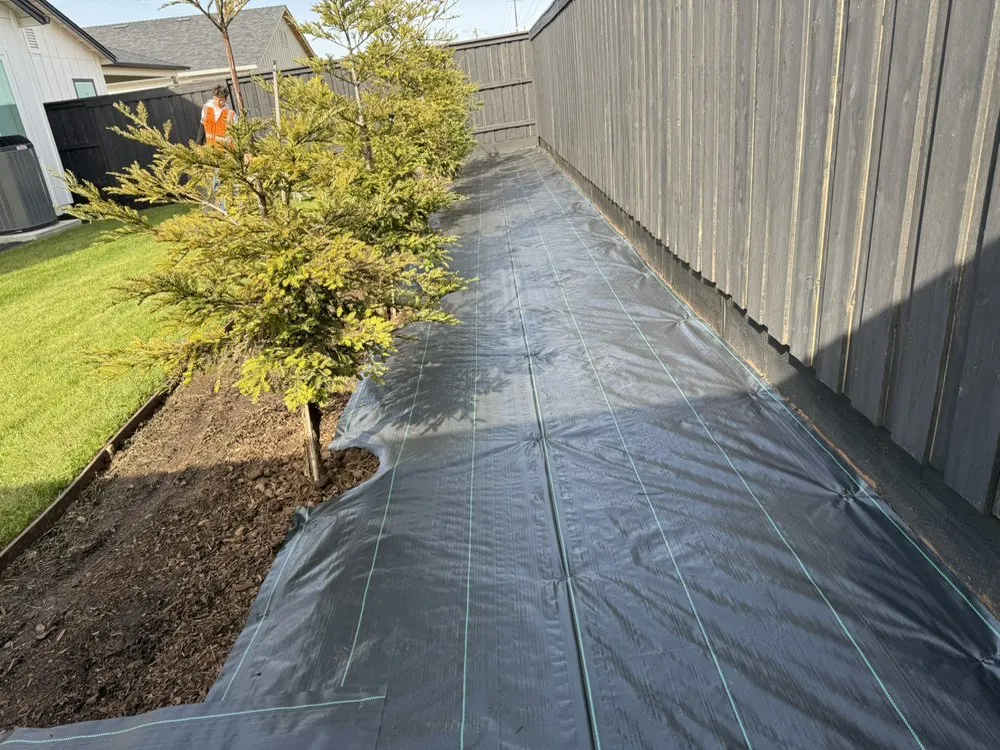 Expert landscape design in Chico, CA by Natural Landscaping