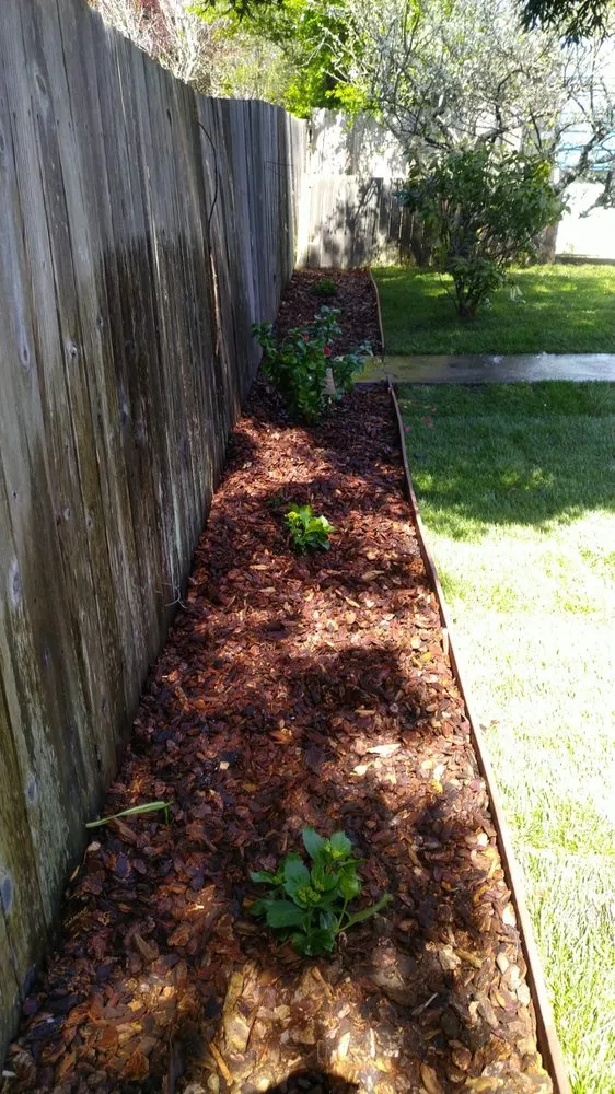 Top-rated landscape installation experts serving Flagstaff, AZ - Natural Landscaping