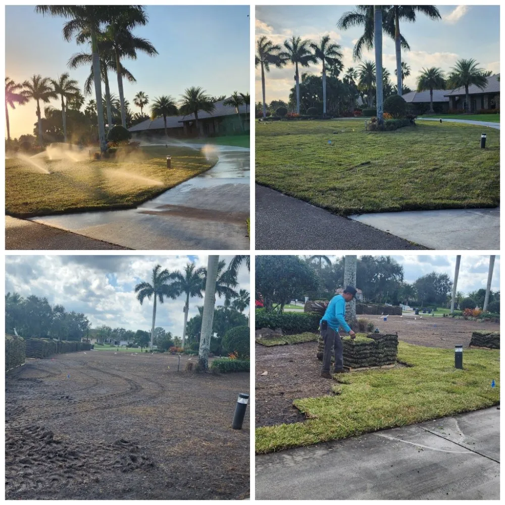 Top-rated landscape design in Jupiter, FL - Natural Landscaping