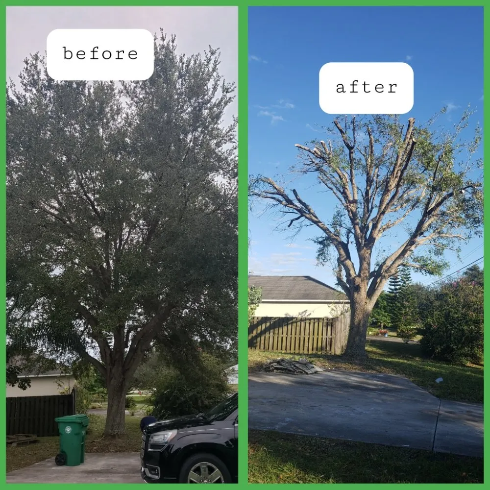 Expert landscape design for beautiful yards in Jupiter, FL by Natural Landscaping