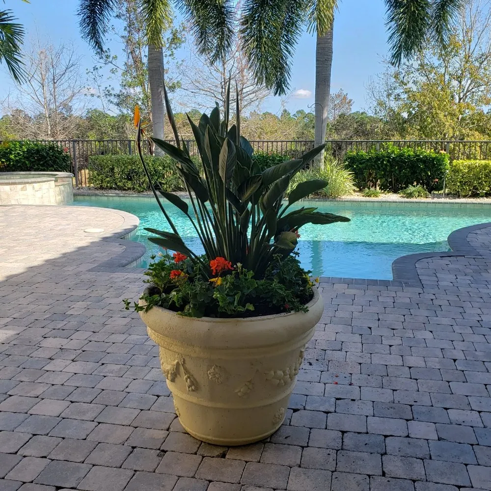 Reliable yard maintenance in Jupiter, FL by Natural Landscaping