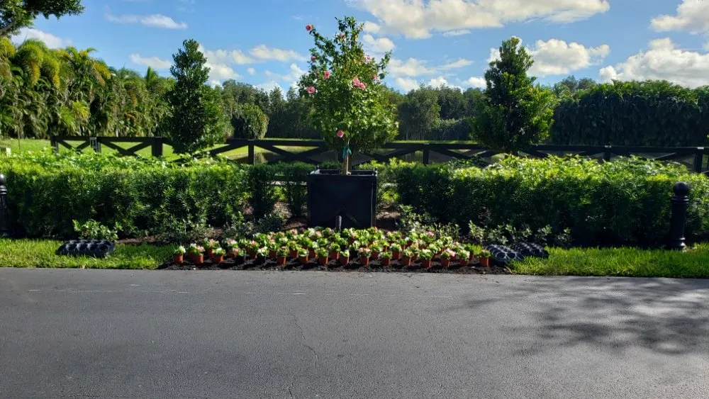 Reliable landscape design in Jupiter, FL - Natural Landscaping