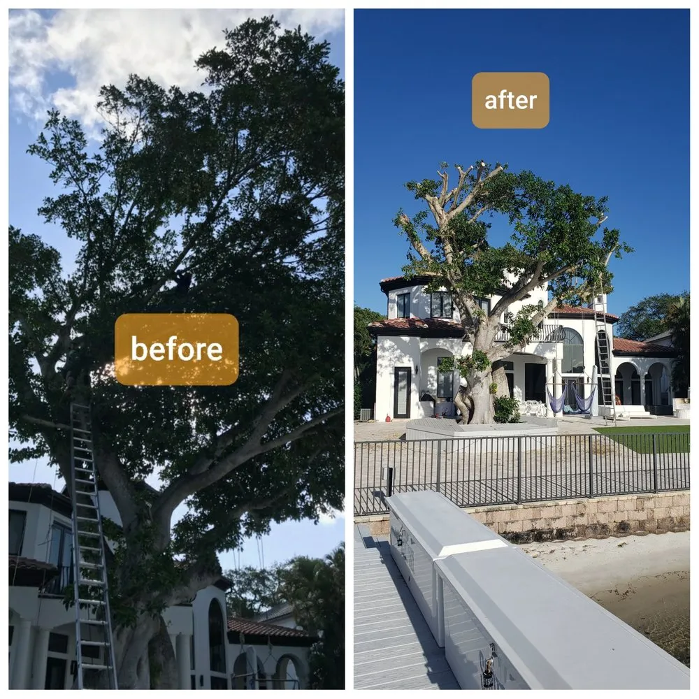 Expert yard cleanup service with custom design in Jupiter, FL by Natural Landscaping