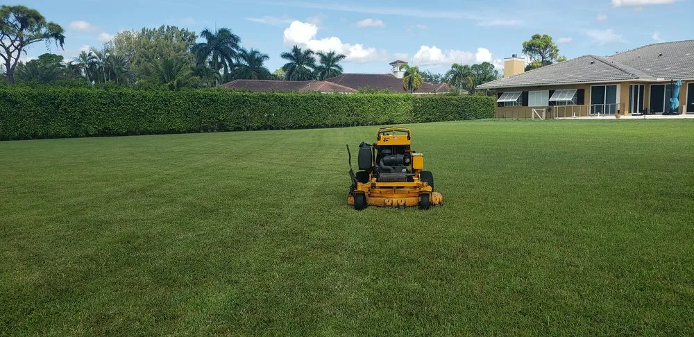 Expert yard cleanup service experts serving Jupiter, FL - Natural Landscaping