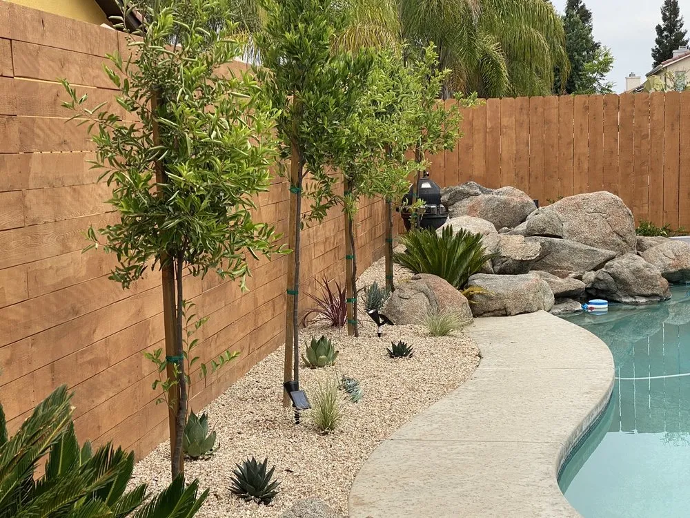 Expert residential landscaping in Madera, CA by Natural Landscaping